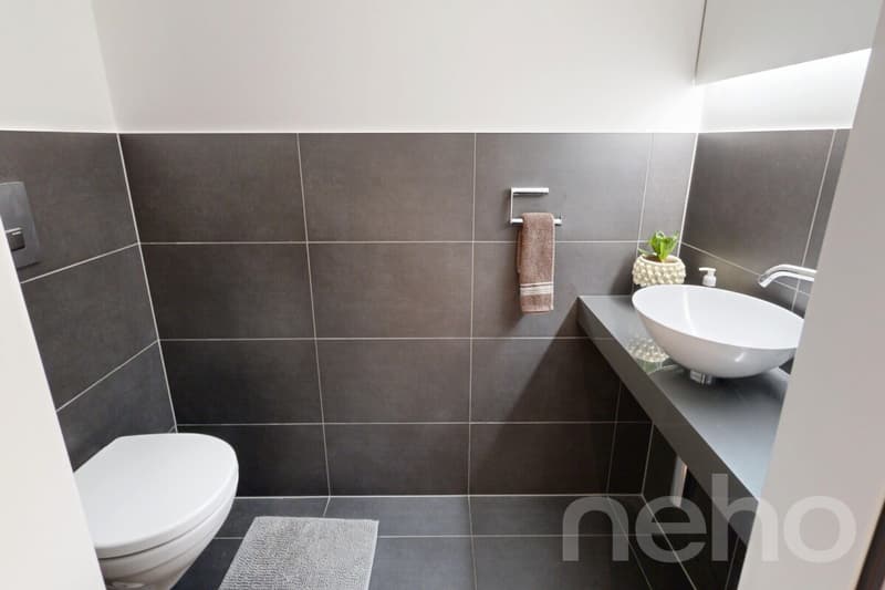 Moderne 2.5-Zimmer-Wohnung mit Skyline-Flair und Weitsicht (8)