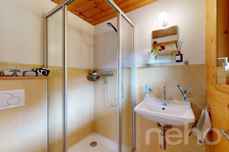 Magnifique chalet dans le hameau de Veyges (10)