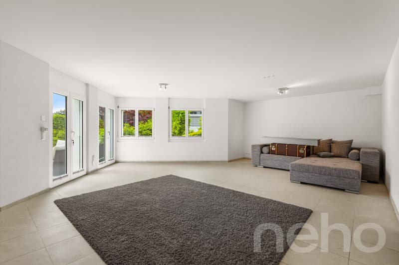Maison individuelle à Wermatswil (12)