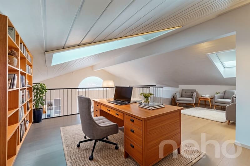 Spacieux duplex avec mezzanine et deux terrasses (2)