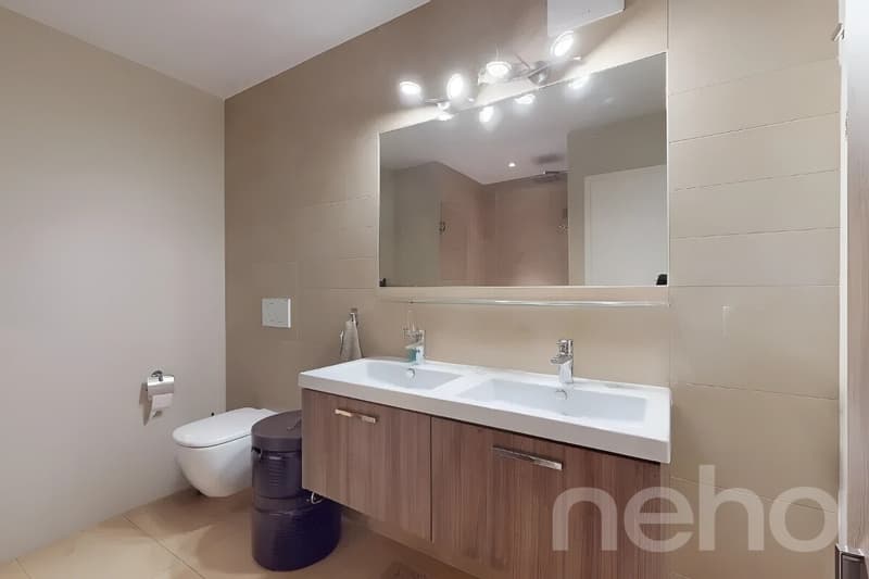 Spacieux duplex avec mezzanine et deux terrasses (7)