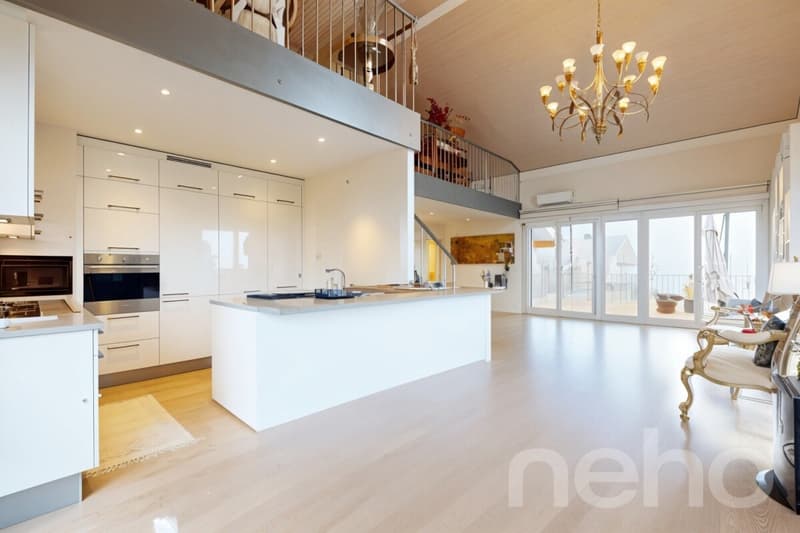 Spacieux duplex avec mezzanine et deux terrasses (1)