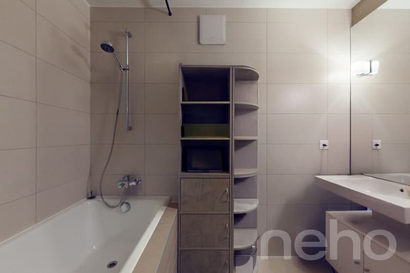 Spacieux duplex avec mezzanine et deux terrasses (9)