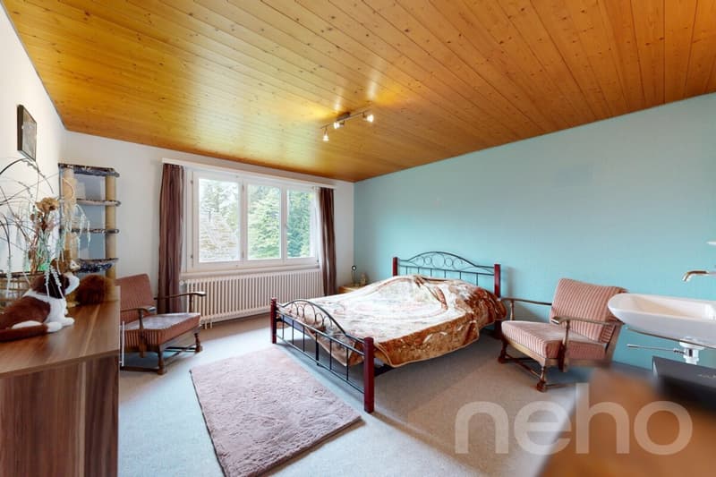 6.5-Zimmer-Einfamilienhaus in naturnaher Lage am Fusse des Säntis (12)