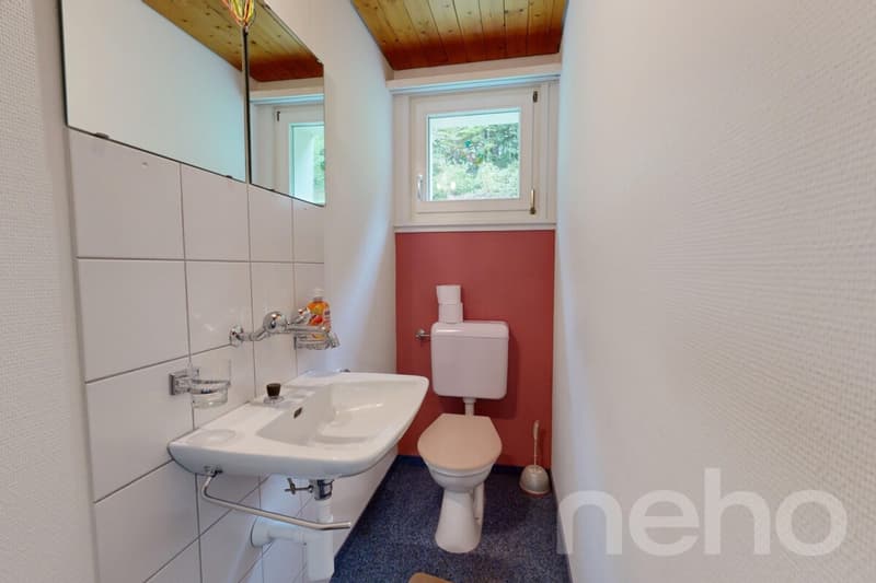 6.5-Zimmer-Einfamilienhaus in naturnaher Lage am Fusse des Säntis (8)