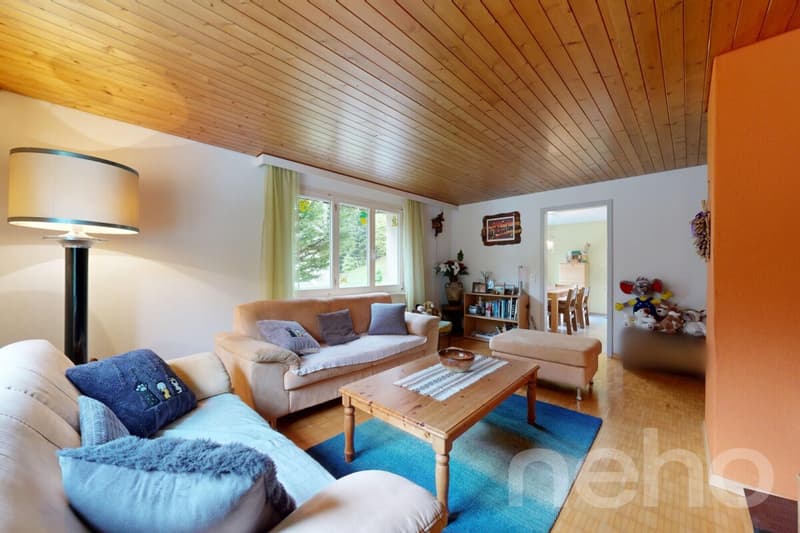 6.5-Zimmer-Einfamilienhaus in naturnaher Lage am Fusse des Säntis (4)