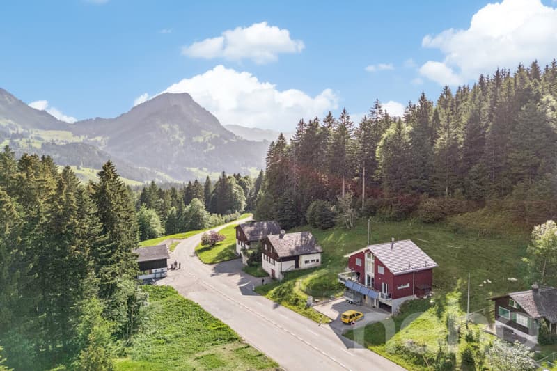 6.5-Zimmer-Einfamilienhaus in naturnaher Lage am Fusse des Säntis (2)