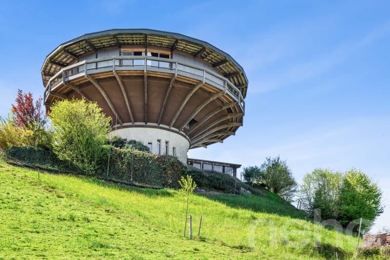 Wohnen im Rundhus. Architektur, Natur und Ruhe in Neuheim (3)