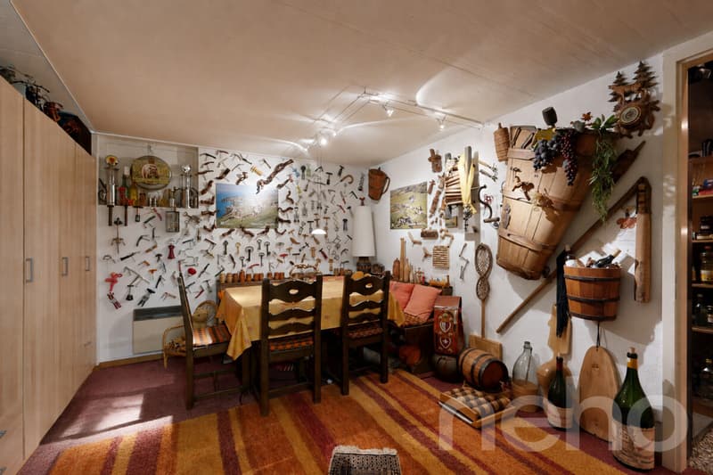 Charmante maison avec grand jardin arboré, et vue sur le Jura! (8)