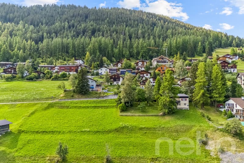 3?520 m² Entwicklungsgrundstück mit Projektstudie in Davos Wiesen (3)