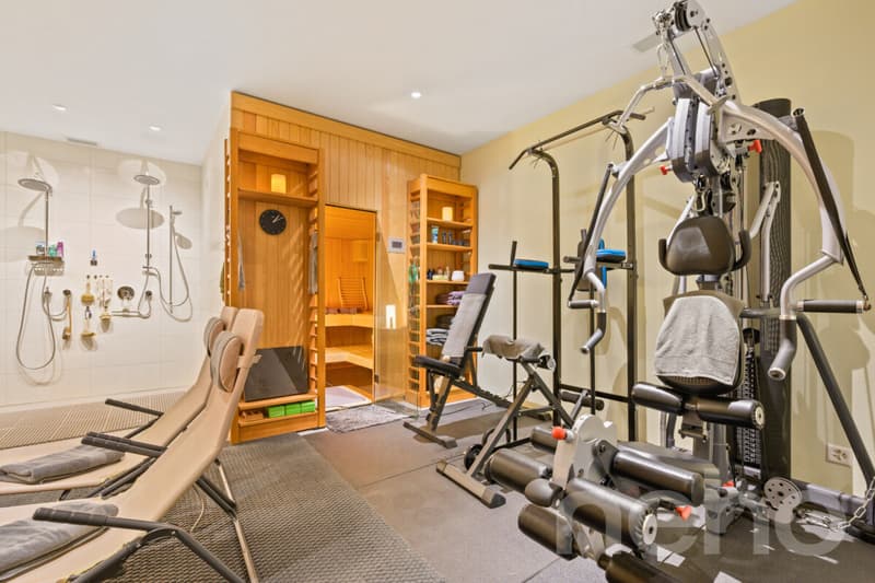 Luxus-Penthouse mit privatem Wellnessbereich (10)