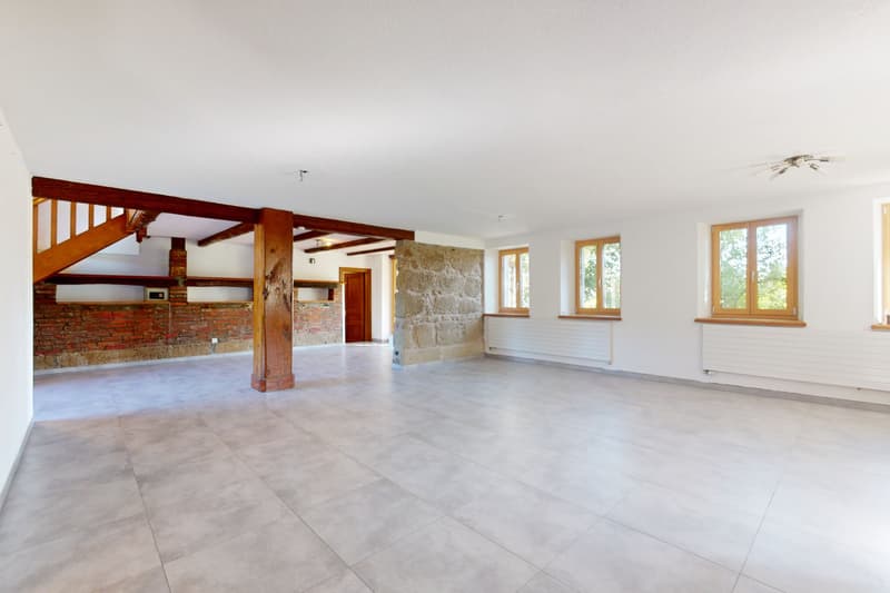 Spacieux triplex avec terrasse, jardin et piscine intérieure (5)