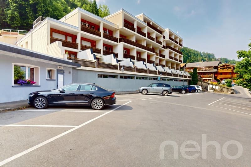 Appartement entièrement rénové plein centre Champéry, vue panoramique (11)