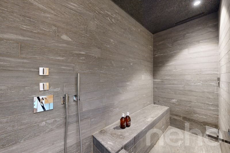 3.5-Zi. Apartment im rocksresort Laax - Ferien & Rendite (7)