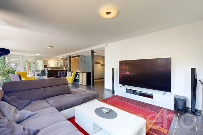 Splendide Villa de Standing avec Jardin, Jacuzzi et Étang Privatif (2)
