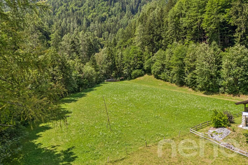 Grosszügiges Bauland mit Projektstudie an naturnaher Lage in Vättis (2)