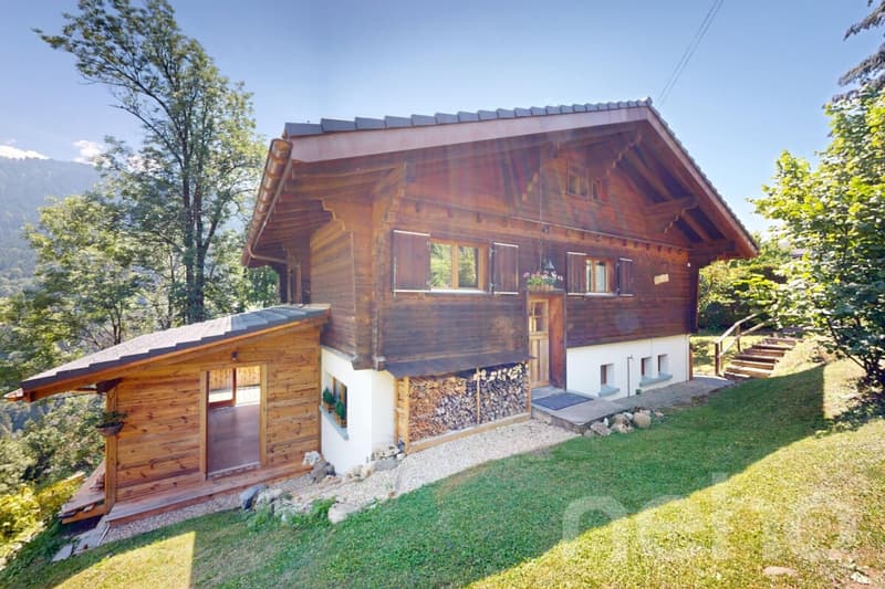 Exclusif: magnifique chalet de 2 appartements (11)