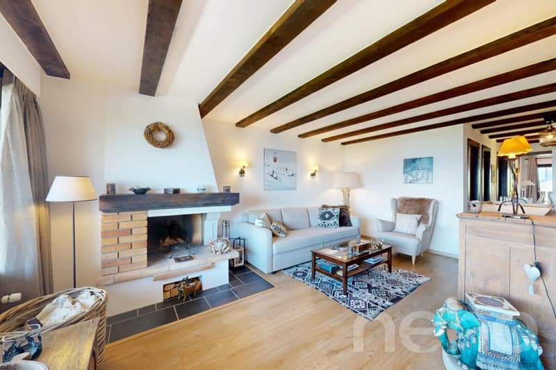 Exclusif: Magnifique appartement dans PPE de standing (2)