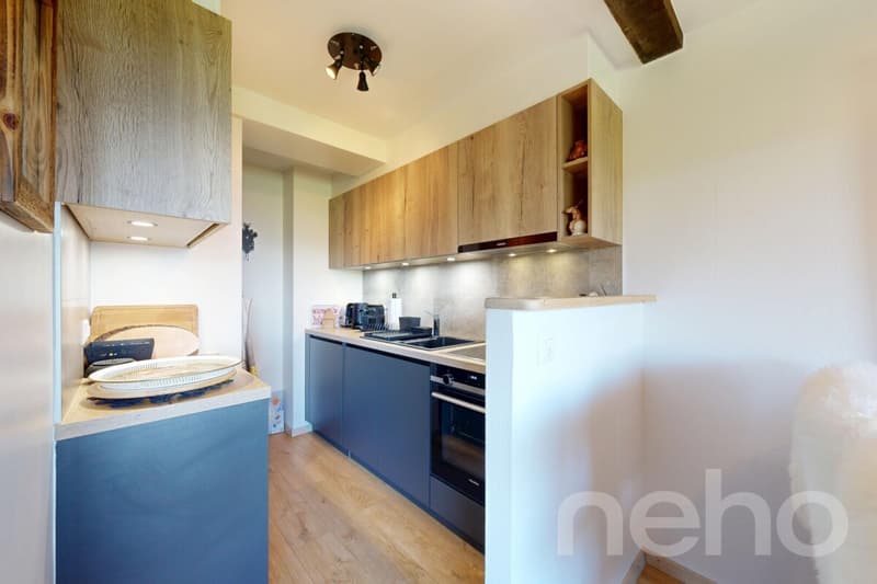 Exclusif: Magnifique appartement dans PPE de standing (5)