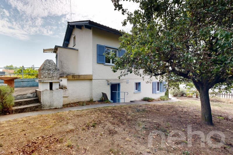 Maison 5.5p au Landeron avec vignes et fort potentiel (10)
