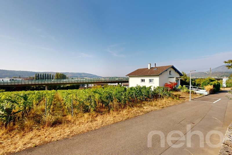 Maison 5.5p au Landeron avec vignes et fort potentiel (3)