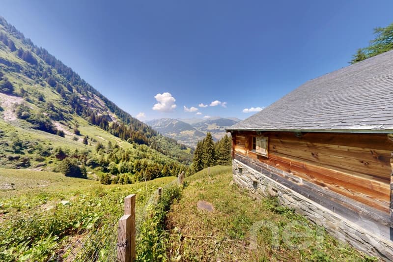Authentique chalet d'alpage ? Déconnexion totale et charme alpin (1)