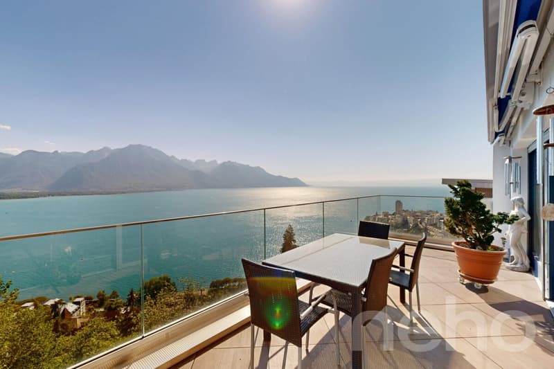 Un panorama d?exception sur le lac et les Alpes (1)