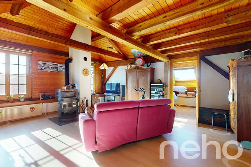 Appartement + bureau indépendant à Ursins ! (1)