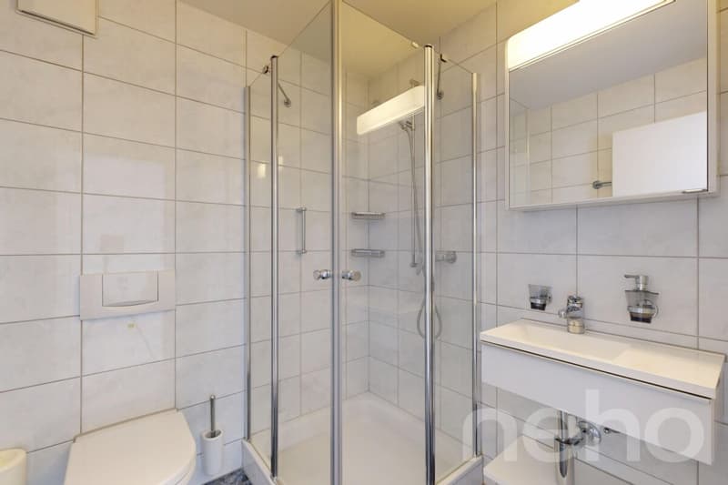 Helle 4.5-Zimmer-Wohnung mit Südbalkon in Volketswil (9)