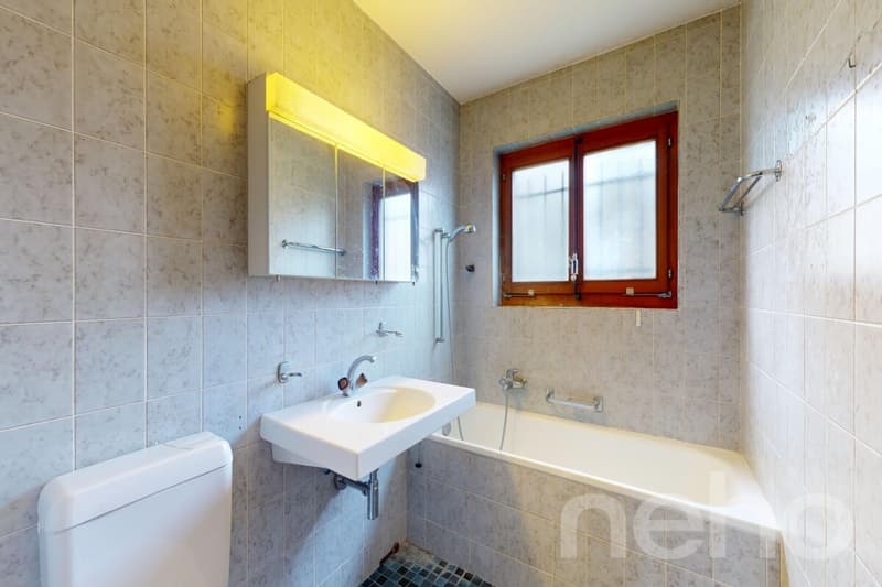 Un havre de paix pour cette maison individuelle (9)