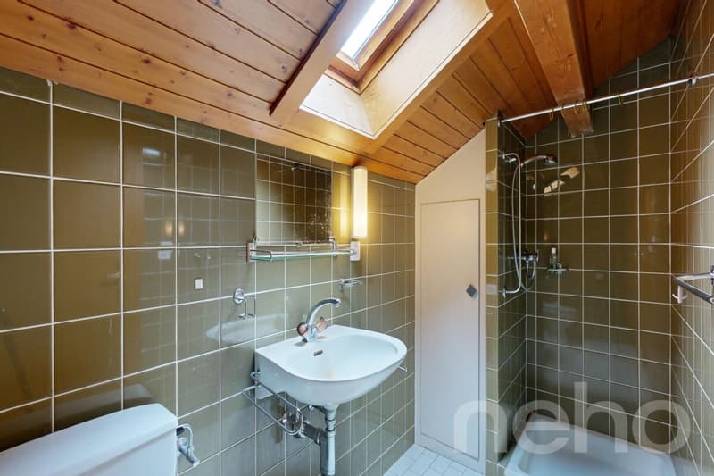 Un havre de paix pour cette maison individuelle (10)
