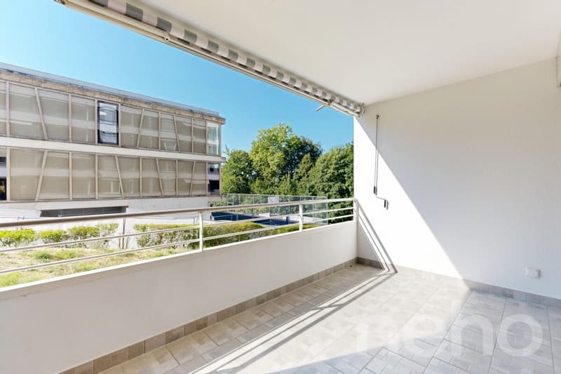 Rénové en 2026: Magnifique 4.5 pièces avec spacieuse terrasse (11)
