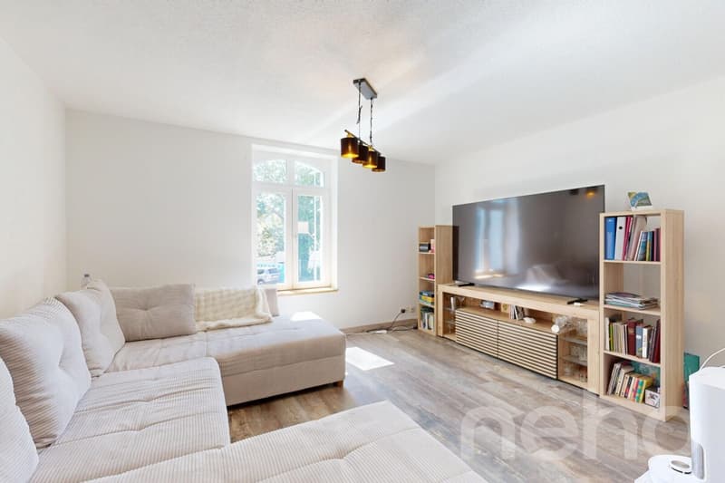 Immeuble locatif de 2 appartements avec entrées indépendantes (7)