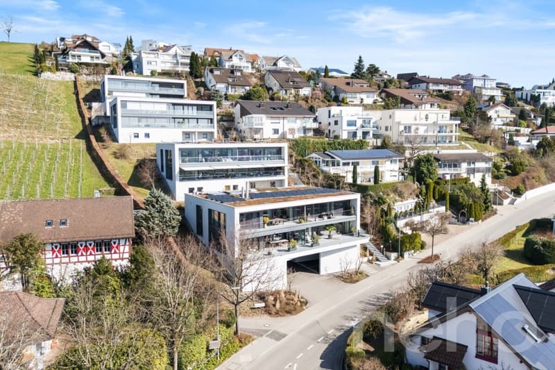 Exklusive Stadtvilla-Terrassenwohnung am Wilberg (1)