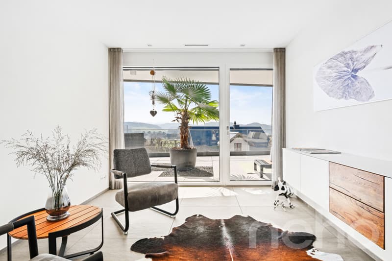 Exklusive Stadtvilla-Terrassenwohnung am Wilberg (8)