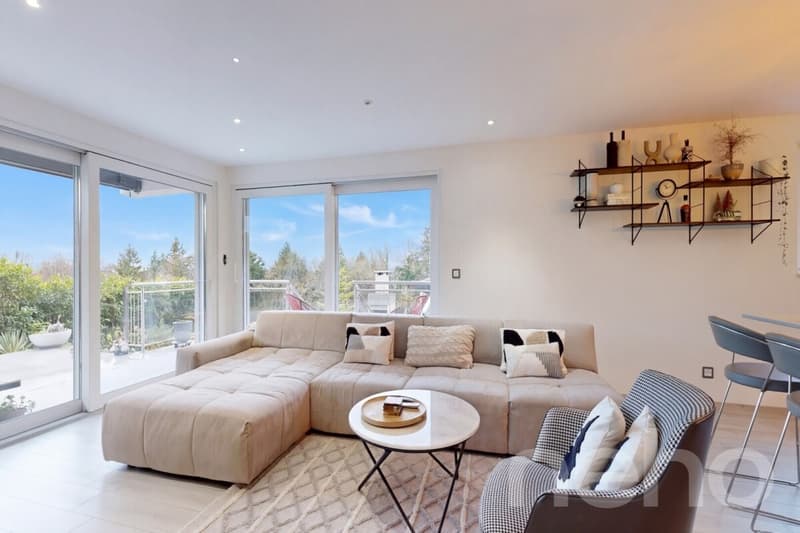 Magnifique 6.5 pièces modulable avec jardin et terrasse d?exception (4)