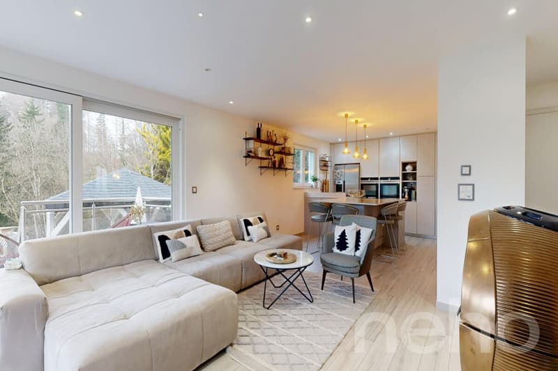 Magnifique 6.5 pièces modulable avec jardin et terrasse d?exception (5)