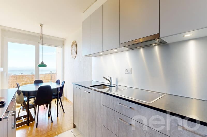 Libre de suite : Bel appartement avec sa vue sur le lac ! (4)