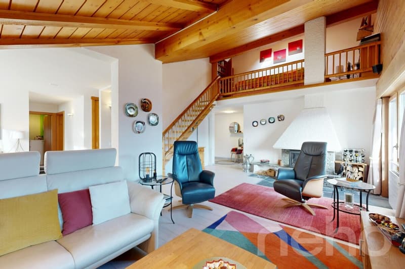 Bel appartement au dernier étage avec mezzanine (2)