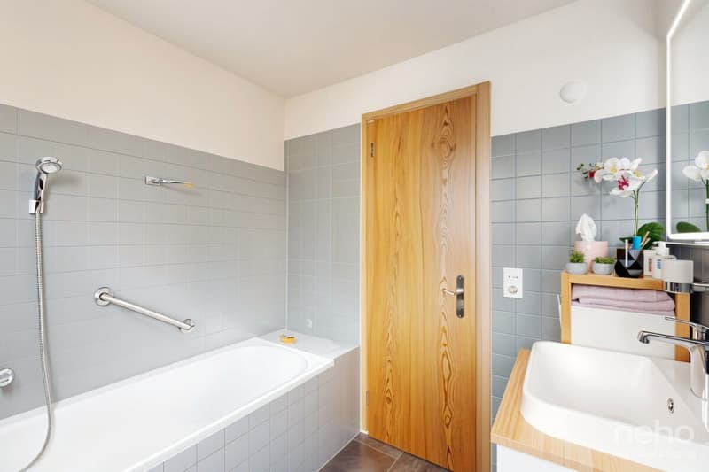 Bel appartement au dernier étage avec mezzanine (11)