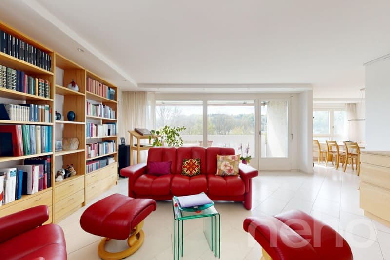Grosszügige 5.5 Zimmer Wohnung für Familien (3)