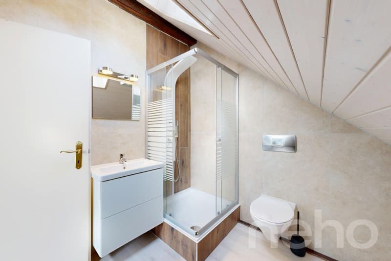 Grand duplex 3.5 pièces lumineux et bien agencé (9)