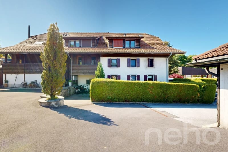 Grand duplex 3.5 pièces lumineux et bien agencé (1)