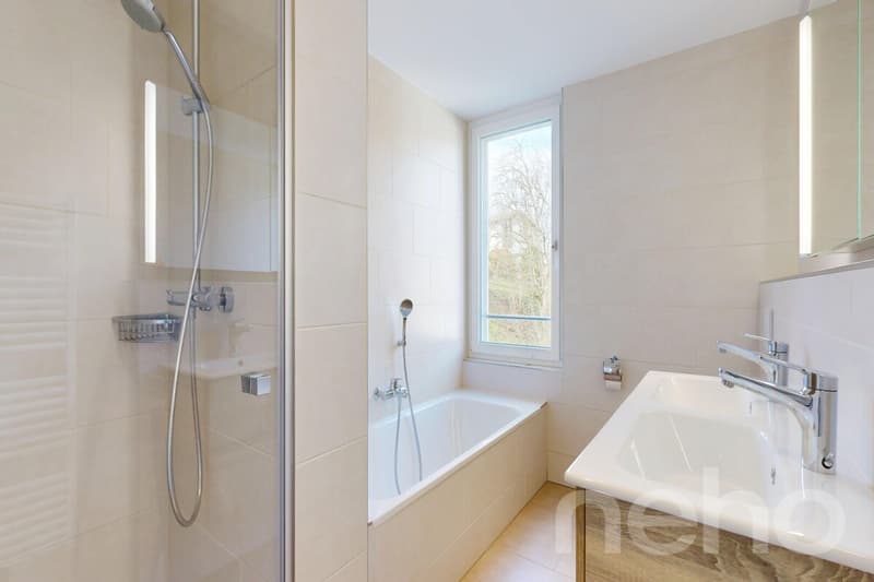Moderne 4.5-Z' Dachwohnung mit an zentraler und dennoch ruhiger Lage (5)