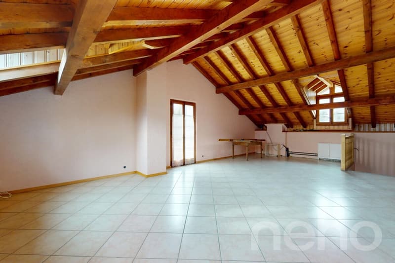 Immeuble locatif et 3 surfaces activités/stockage (7)