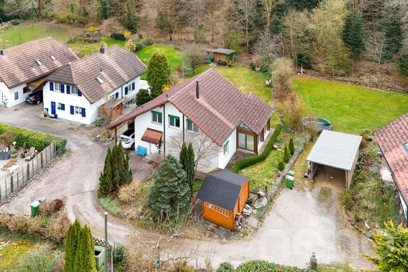Lichtdurchflutetes Familienhaus mit Garten und direktem Waldzugang (2)