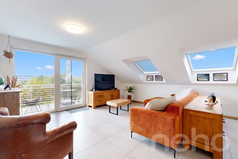 Attique contemporain traversant avec grand balcon et vue dégagée (2)