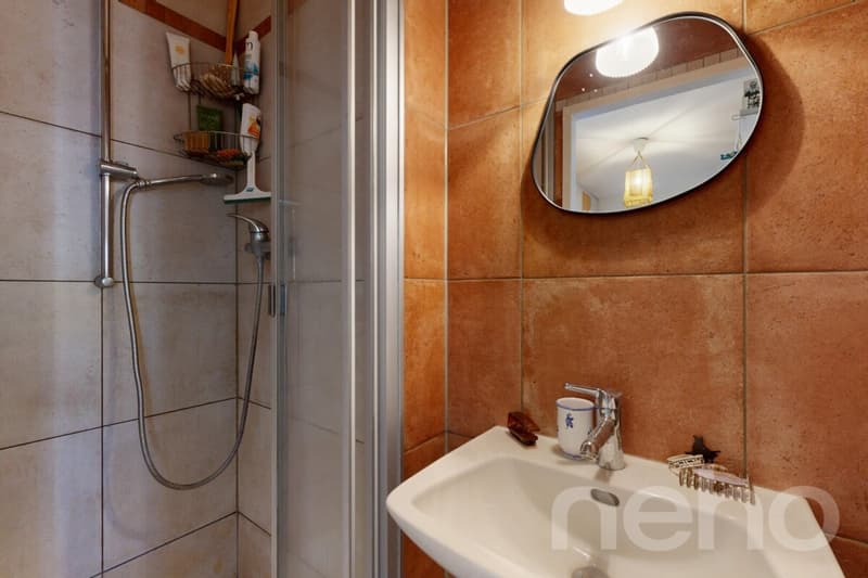 Bel appartement familial, 114 m², lumineux, hypercentre (10)