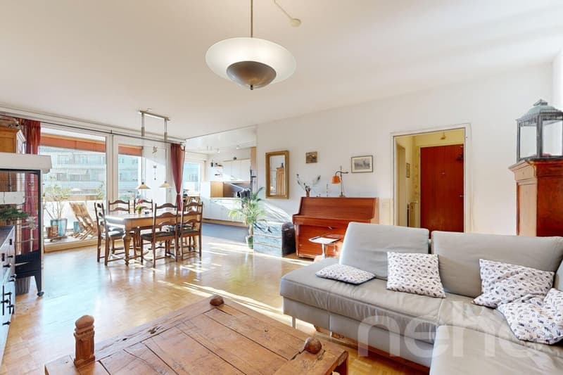 Bel appartement familial, 114 m², lumineux, hypercentre (3)