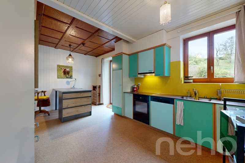 Maison familiale Atypique Rénovée avec jardin et garage indépendant (3)